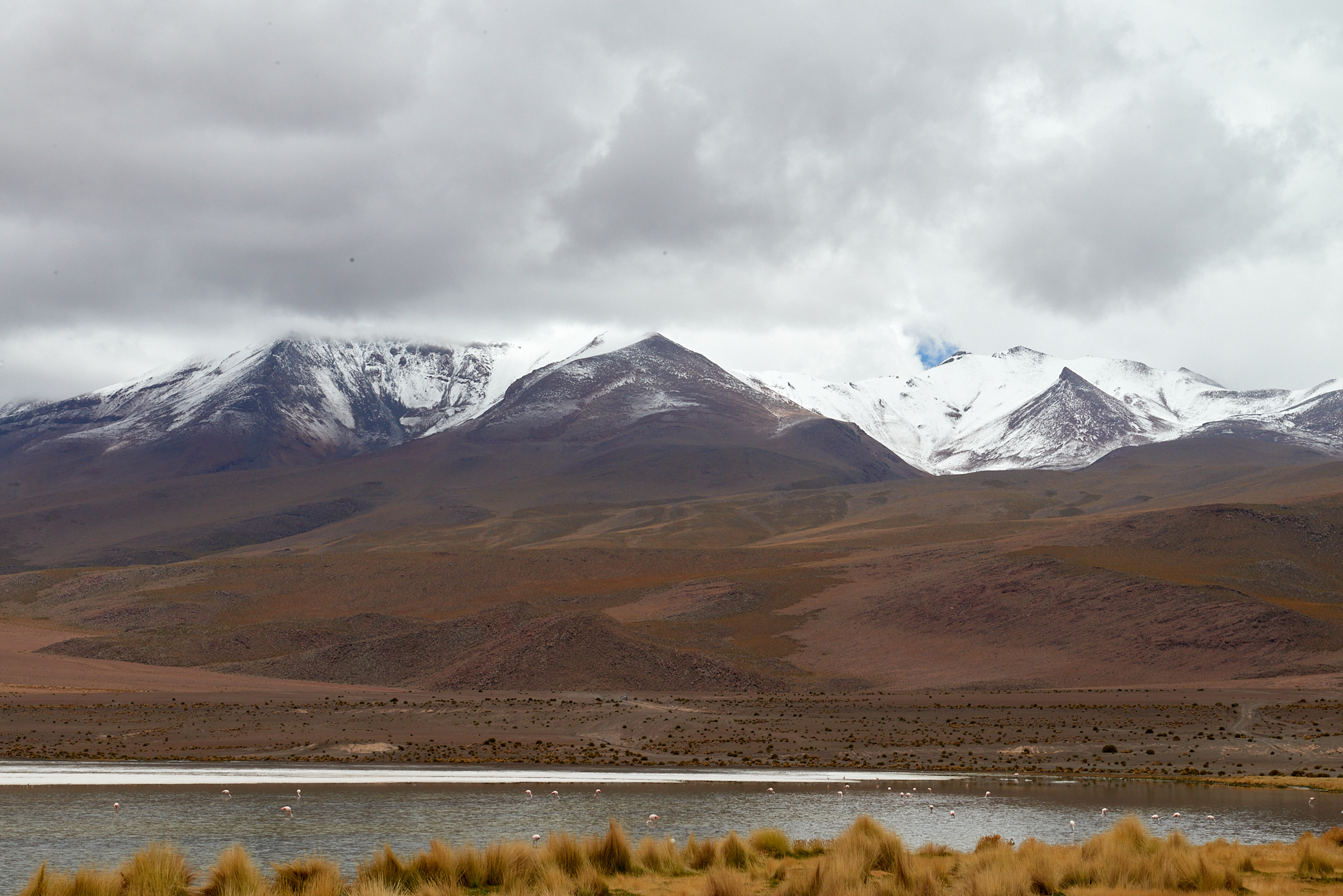 20200313 459 [볼리비아] 카냐파 호수